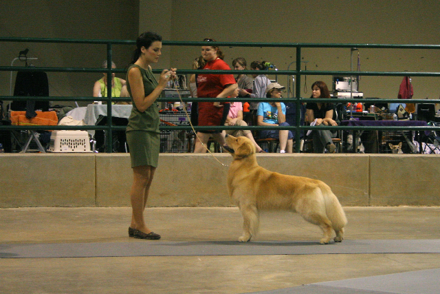 Maxie and Levi our Champ!